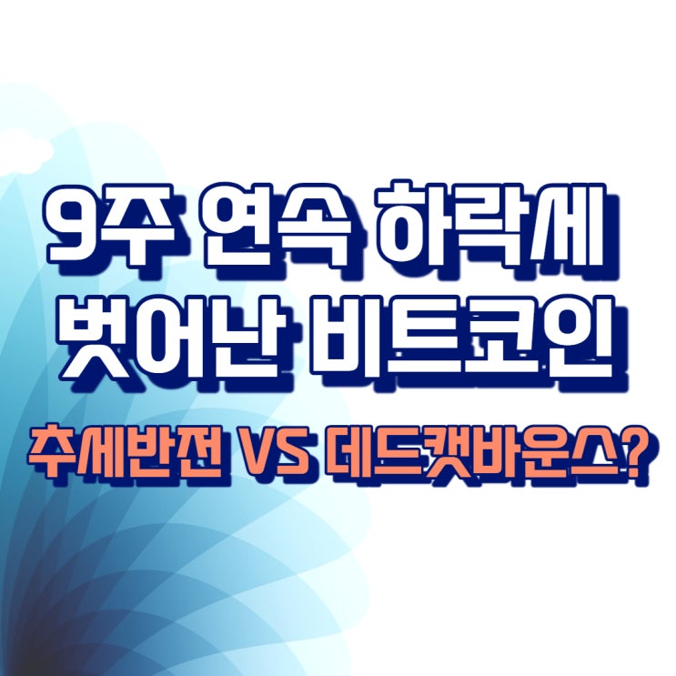  9주 연속 하락세 벗어난 비트코인...추세반전 VS 데드캣바운스?