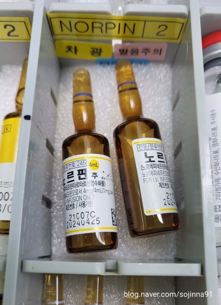  Norepinephrine 노에피네프린 약은 언제 사용하는가? 용량과 조제방법과 적응증