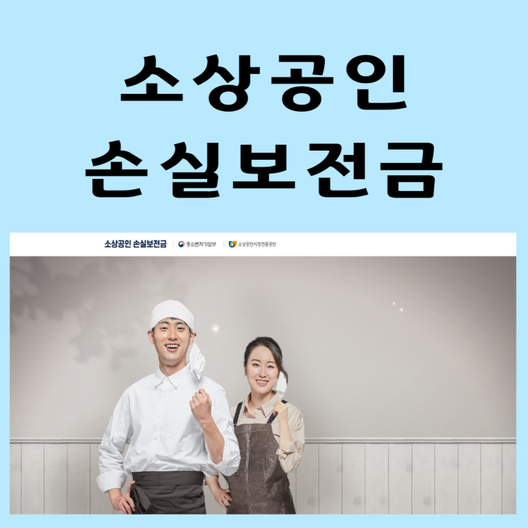 소상공인 손실 보전금 소상공인 손실 보전금