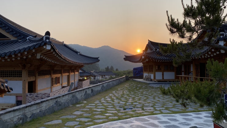  여기가 진짜 한옥마을! 완주 상관 마치리 한옥단지 탐방