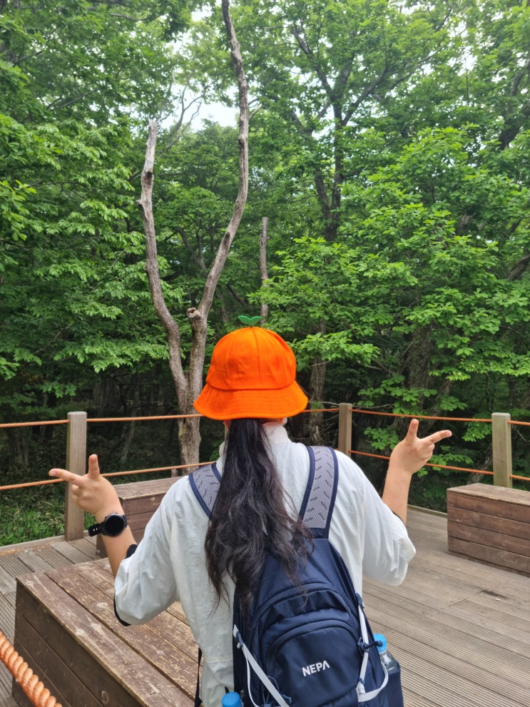  [제주도] 5월 제주도 여행 (1박 2일) _ 1일차(1) :: 한라산 등산/등산 후기/우중 산행/한라산 정복