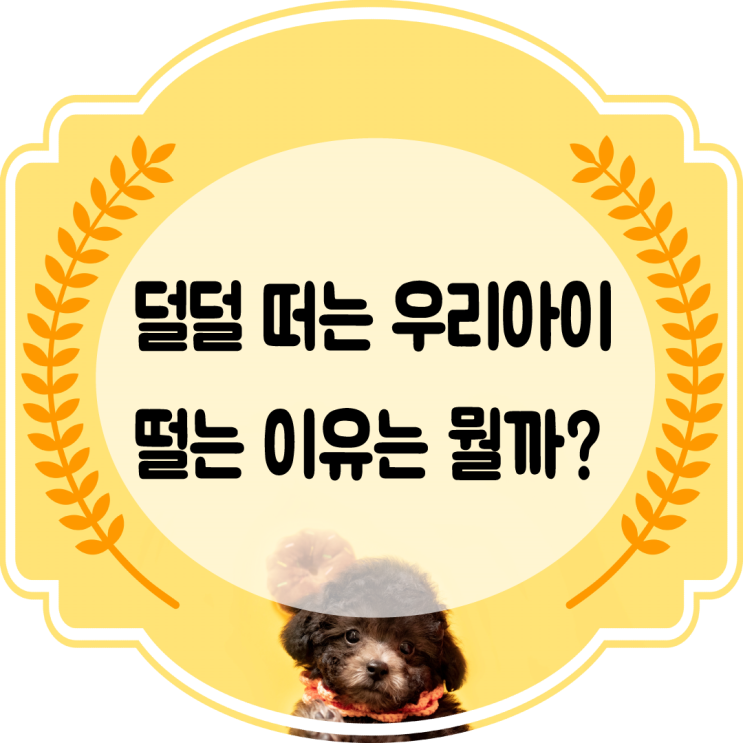  강아지 떨림 덜덜 떠는이유 알아보자~!!
