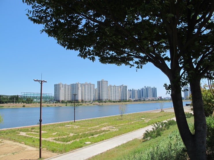  하늘과 바람과 포항 중명리로 가는 비행기