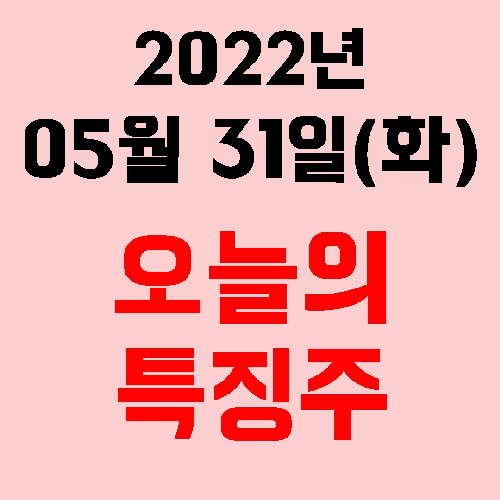  오늘의 시장 특징주 2022년 05월 31일(화)