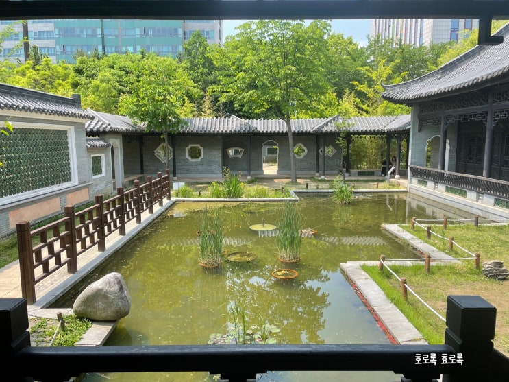  [수원 가볼만한곳] 데이트하기 좋은 중국 정원 월화원, 효원공원