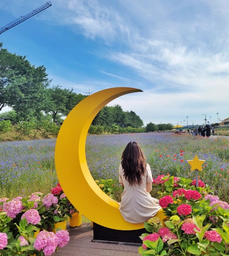  [장성] 10억 송이 봄꽃이 가득한 황룡강 생태공원 꽃길 5월 축제 후기