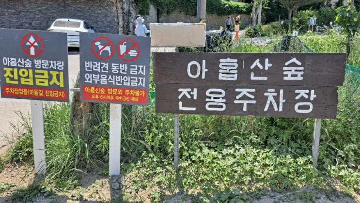  부산 아홉산숲
