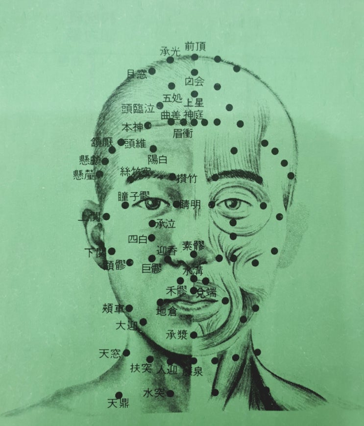  코질환과 한의학 (2부- 치료)