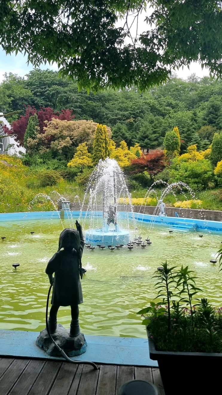  아산피나클랜드 수목원 꽃구경 가자.