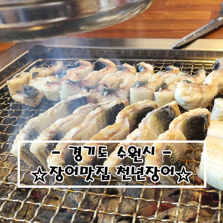   내돈내먹 경기도 수원시 장어맛집 천년장어