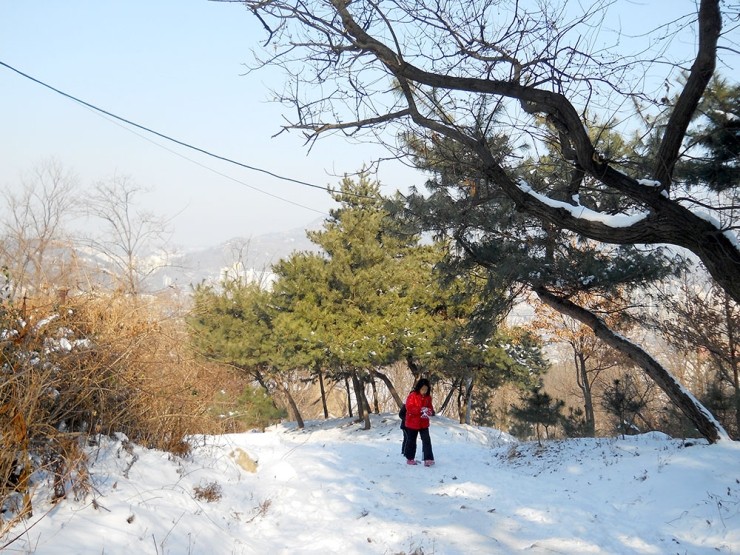  걷고 사랑하며 #168: 서대문구 안산자락길(Ansan Jarakgil)은 언제나 즐겁다.
