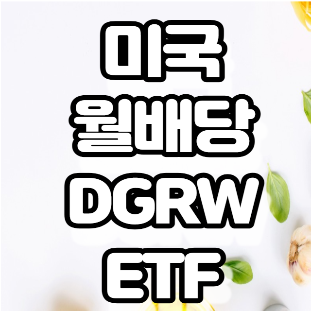 월배당주 미국 DGRW ETF(배당성장주)