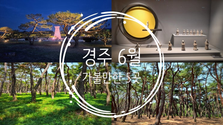  경주 6월에 가볼만한 5곳