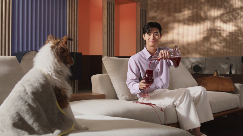 Park Seo-joon Sofa Essa TV Commercial: More Charming the More You Watch It