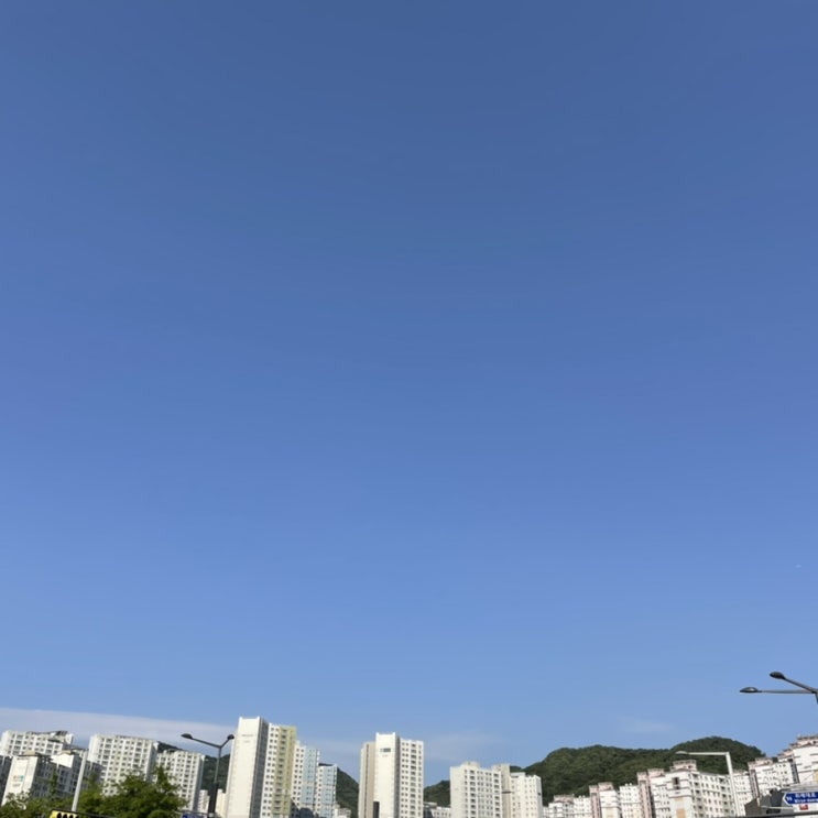  5월 마무리