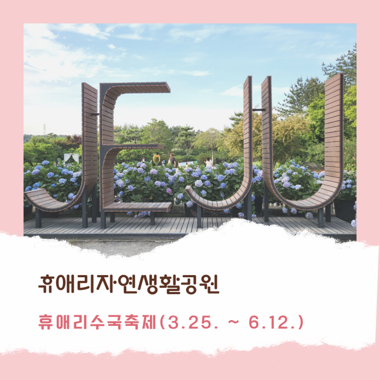  [제주가볼만한곳] 휴애리 수국축제_돼지야놀자공연까지