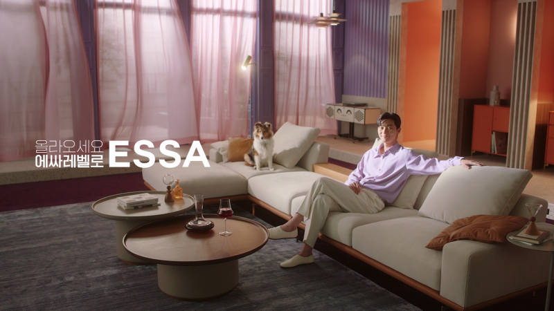 Everything About the Park Seo-joon Sofa in Essa's Commercial, Including the Peyton Promotion