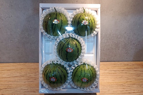 오늘청과2 이미지