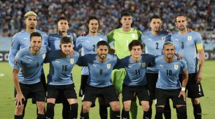 FIFA A매치 친선전 3일 에콰도르 나이지리아 멕시코 우루과이 FIFA A매치 친선전 3일 에콰도르 나이지리아 멕시코 우루과이