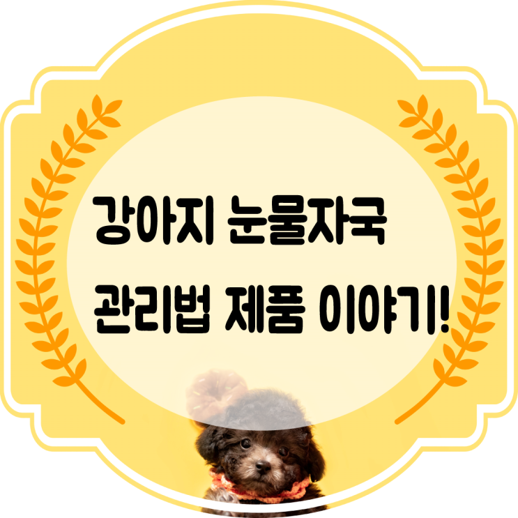  강아지눈물자국 관리법 어떻게? 보조제 패드 영양제 (티어젠.벳헬스.마이뷰 등)