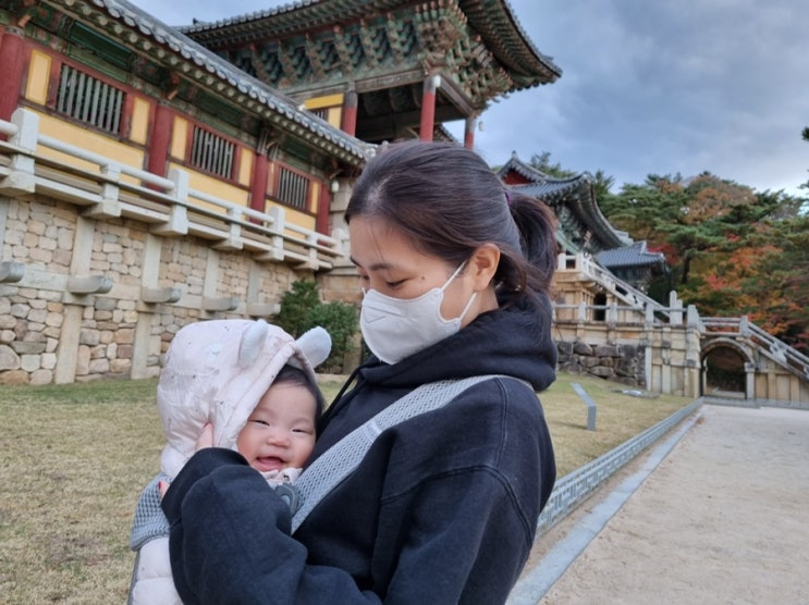  아기랑 여행_경주 대릉원,불국사 그리고 영덕대게와 안동도산서원