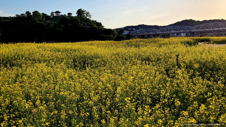 공주 미르섬