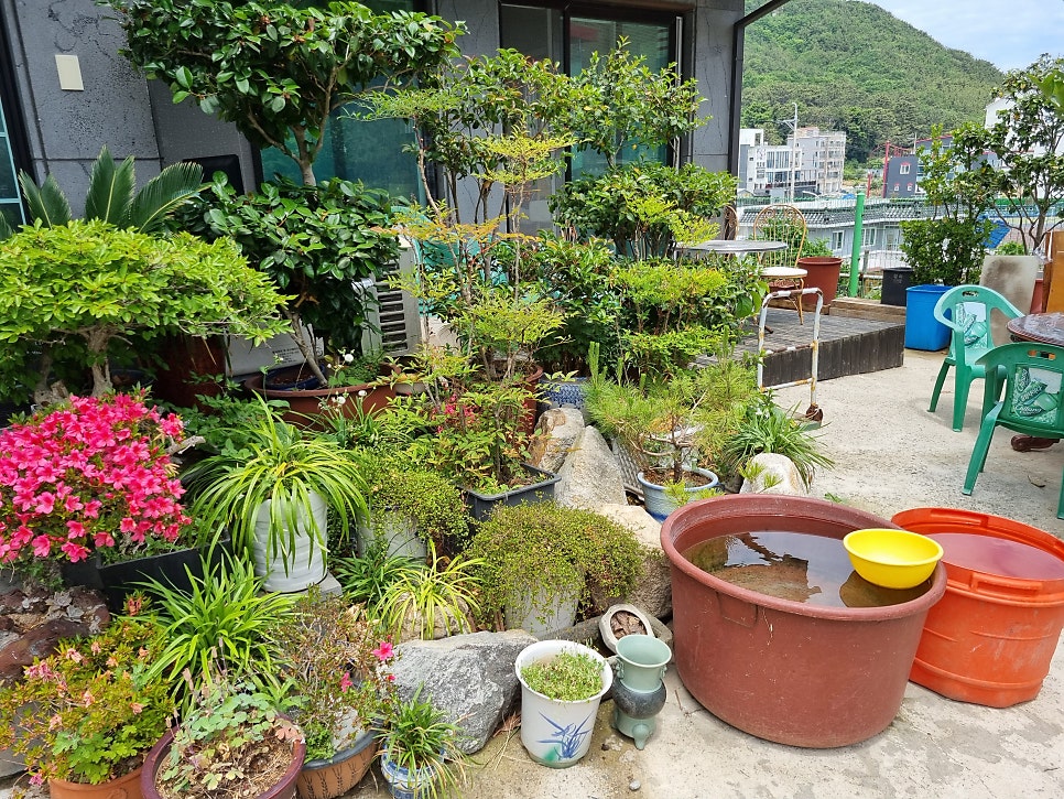 Cheongsapo Tojongotdak photo 3