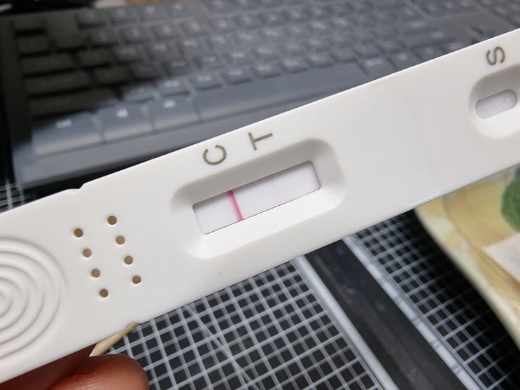  내돈내산 : 코로나19 항원 자가 타액 검사 키트 : PCL Self Test