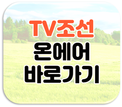 TV조선 온에어 실시간 무료 시청 바로가기 재방송 편성표 보는법