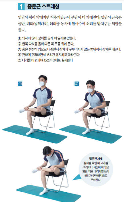  허리질환에 도움이 되는 스트레칭 5가지 (펌)
