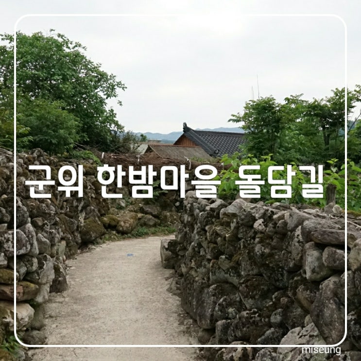 경북 군위 한밤마을 돌담길 가볼만한곳 데이트 하기 운치있는 곳이에요