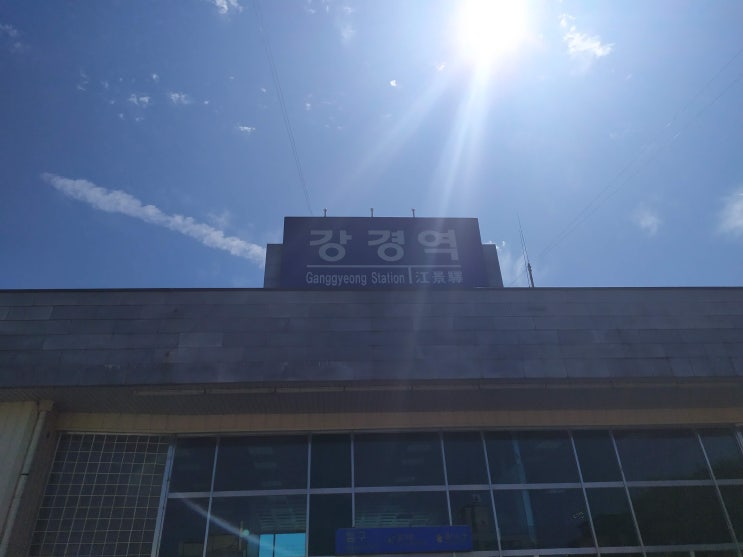  친애하는 이웃님들 저 글태기예요
