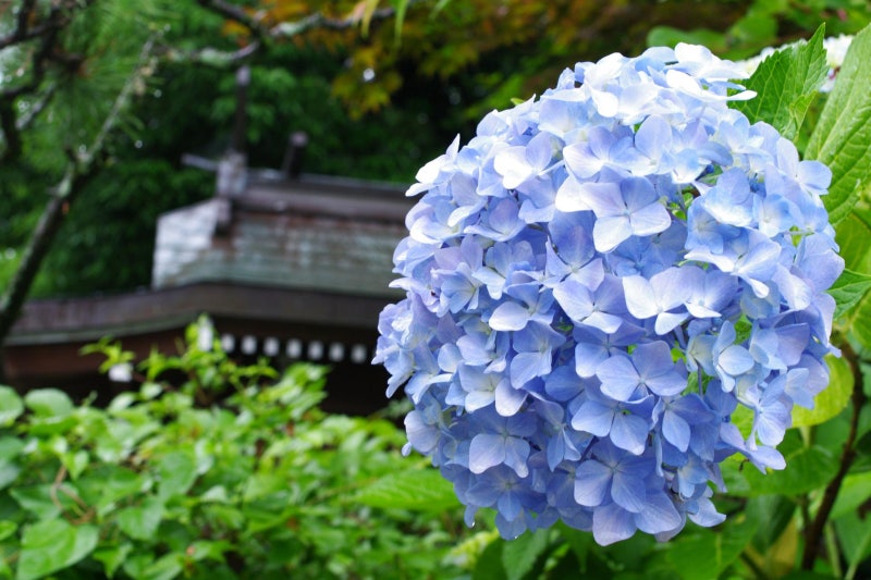 취산 이미지