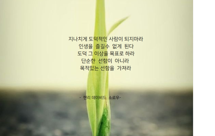  [좋은 글]  선함