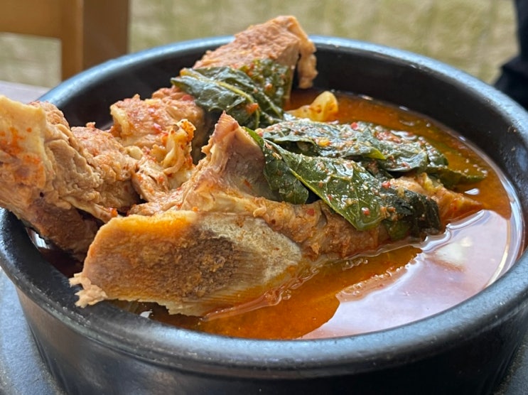  점심메뉴가 고민일 때는 제주 도남 맛집 다동뼈감탕 뼈다귀탕(뼈해장국)