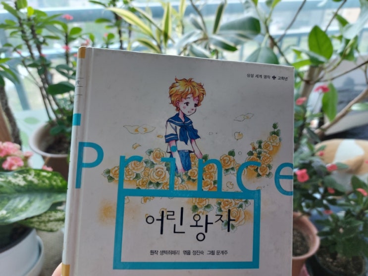 <동화> 어린왕자 Petit Prince 쌩텍쥐페리 어른에게 바치는 어린왕자