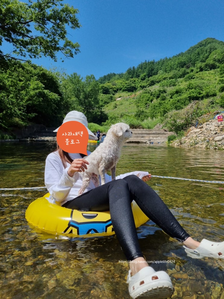  [충북/제천]패밀리오토캠핑장 계곡물놀이 애견동반 숲속힐링 3박4일 솔찍 후기