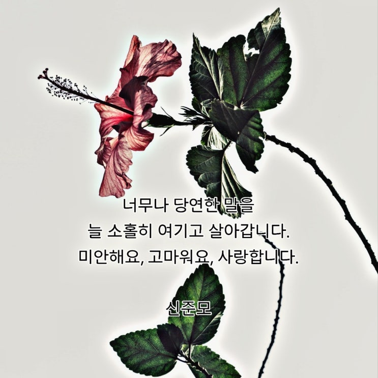  스물일곱번째, 만남이야기