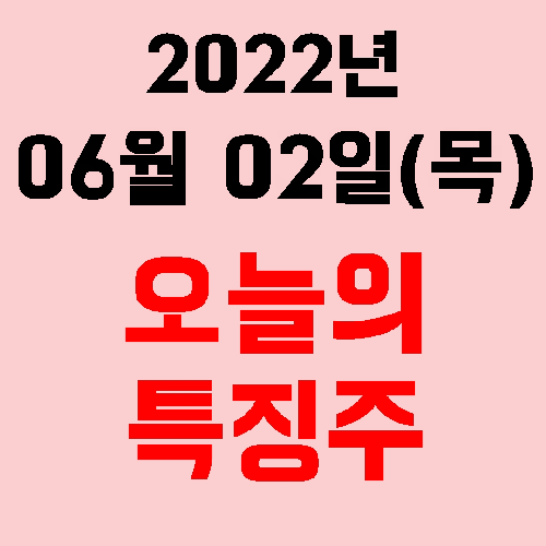  오늘의 시장 특징주 2022년 06월 02일(목)