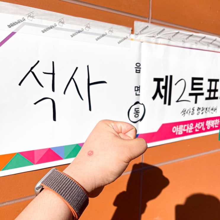  [춘천/일상] 투표하고 춘천 나들이