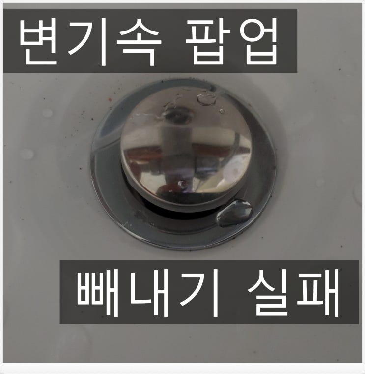  청주 변기막힘으로 출동했던 변기 속 이물질 제거.. 결국 실패했습니다..