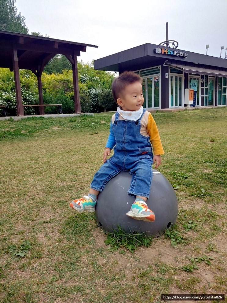  광주 아기랑 풍암저수지 장미 보고 왔어요