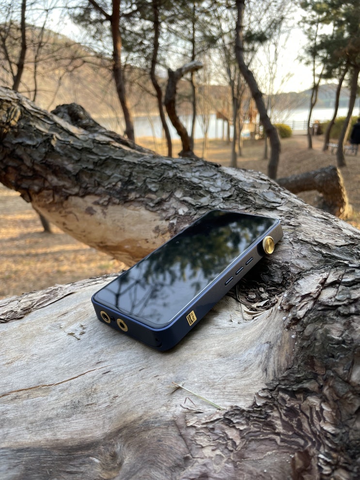  IBASSO DX320에 거는 기대감. 역작이 될 것 같다