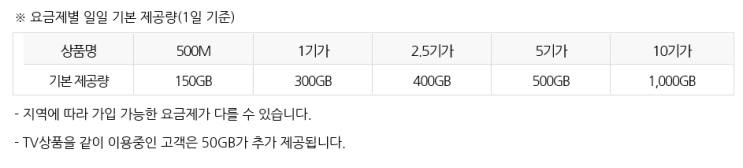 LG U+ 기가인터넷 용량