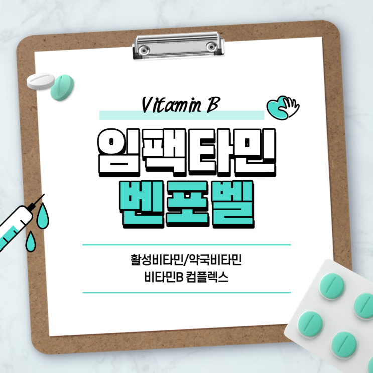  약국비타민 : 임팩타민, 벤포벨 비교 【#비타민B #활성비타민 #비타민B컴플렉스 #약국비타민B】