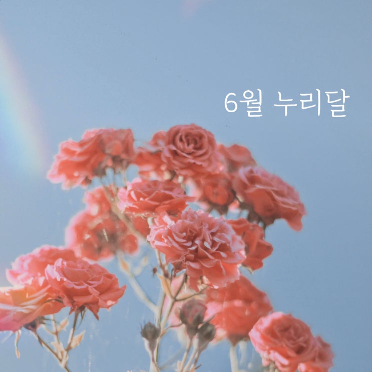  안녕, 누리달