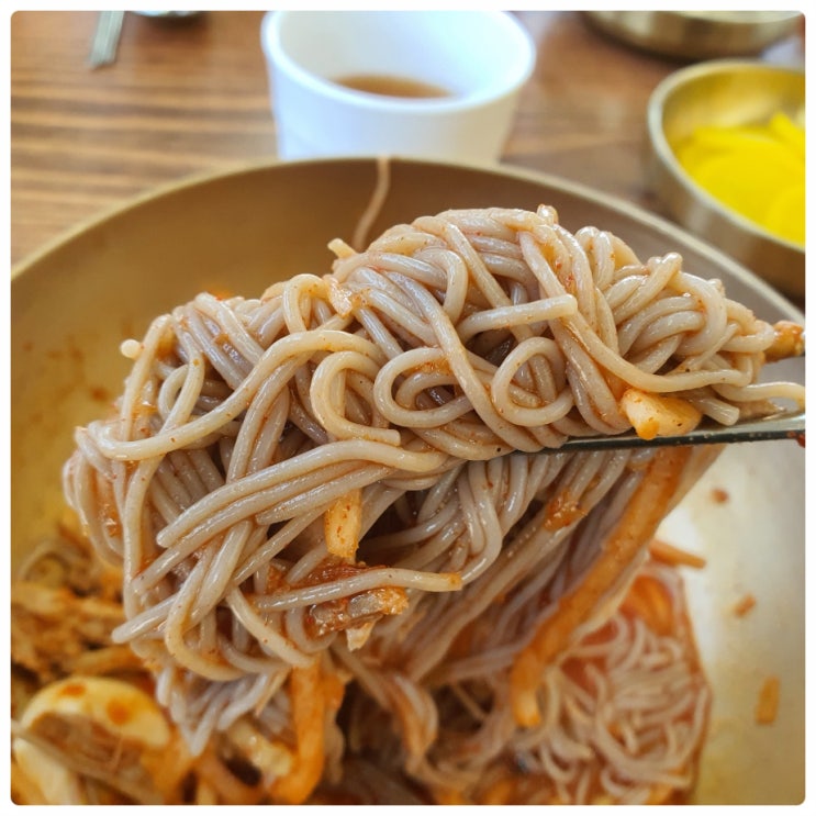 밀면과 왕만두의 환상 조합 하르방순메밀면 애월해안로 맛집