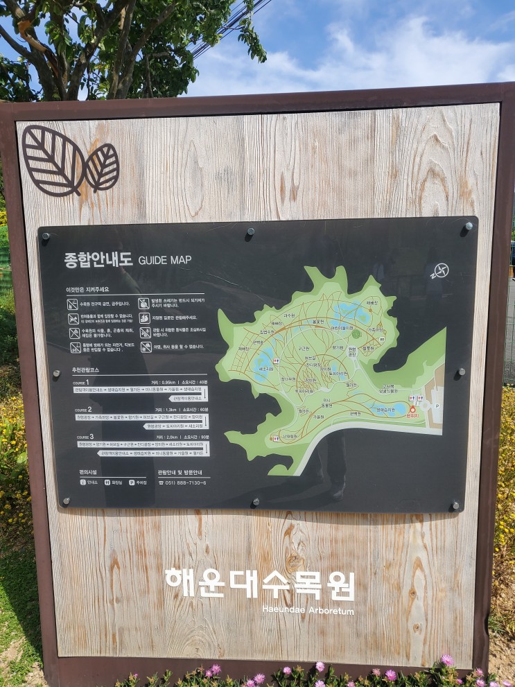 부산 해운대수목원 방문후기(feat.장미/라벤더)