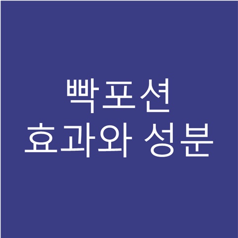 빡포션 스포츠음료 공복 운동 전에 마시기