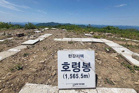 오*대 이미지